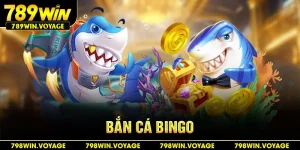 bắn cá bingo