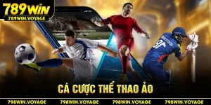 cá cược thể thao ảo