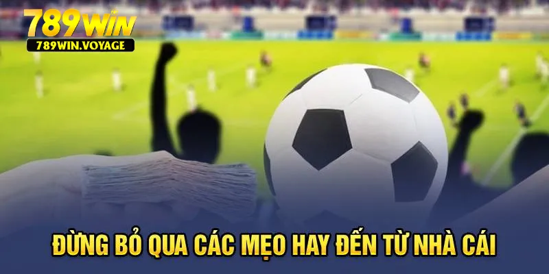 Đừng bỏ qua các mẹo hay đến từ nhà cái