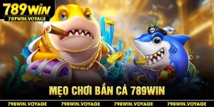 mẹo chơi bắn cá 789win