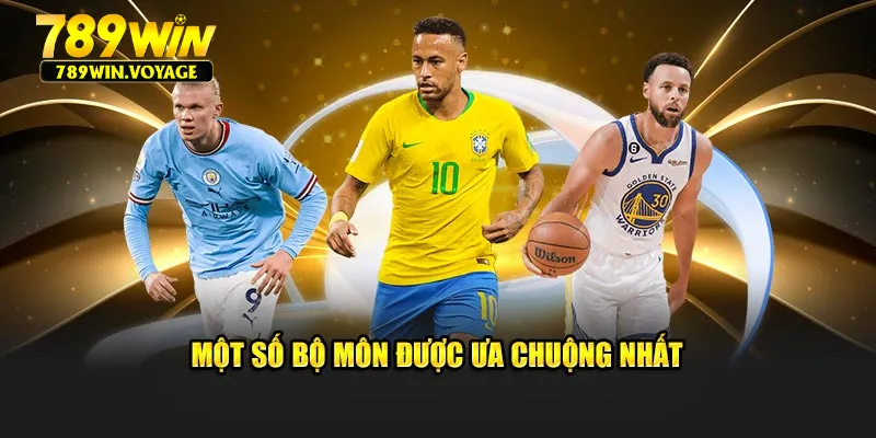 Một số bộ môn được ưa chuộng rộng rãi nhất