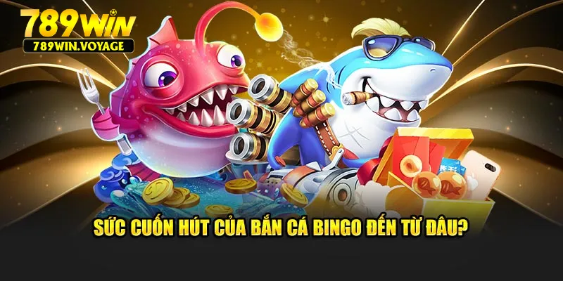 Sức cuốn hút của bắn cá Bingo đến từ đâu?