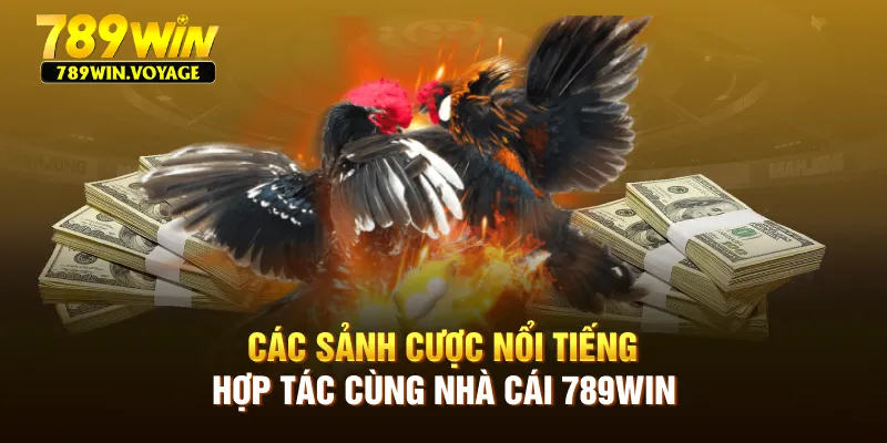 Các sảnh cược nổi tiếng hợp tác cùng nhà cái 789win